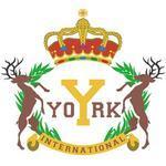 York Montessori International - Mei Foo